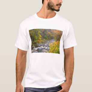 Camiseta Arroyo Rugiente en otoño en Green 2 de Vermont