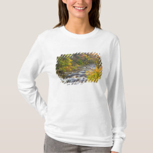 Camiseta Arroyo Rugiente en otoño en Green 2 de Vermont