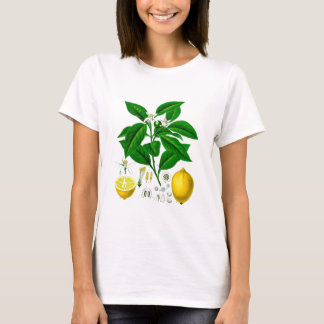 Camiseta Arte botánico 7 de la impresión no del limón de