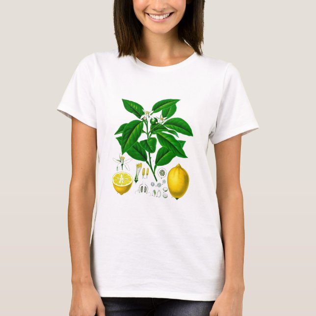 Camiseta Arte botánico 7 de la impresión no del limón de (Anverso)