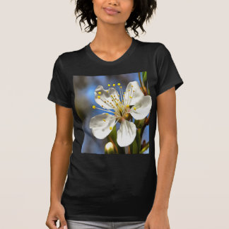 Camiseta Arte botánico Plum Blossom
