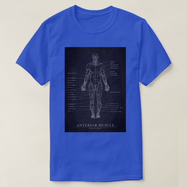 Camiseta Arte de Anatomía Humana del Músculo Anterior (Diseño del anverso)