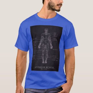 Camiseta Arte de Anatomía Humana del Músculo Anterior