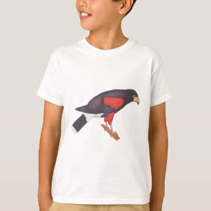 Camiseta arte de aves con acuarela del halcón de Harris