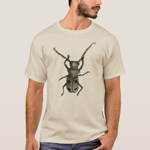 Camiseta Arte de escarabajo - Estilo naturalista tinta y ac