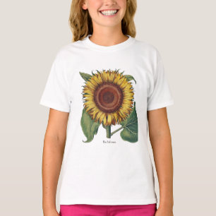 Camiseta Arte de Flor de Damasco Vintage Girasol