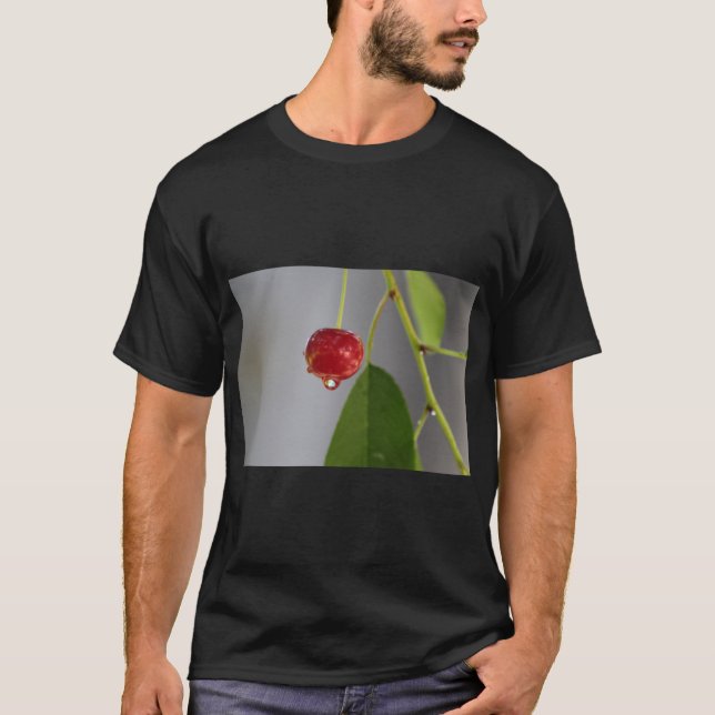 Camiseta Arte de gota de fruta (Anverso)