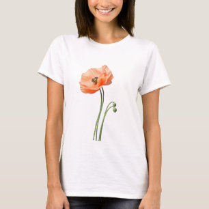 Camiseta arte de mariposa, libertad frágil, obra emocional,