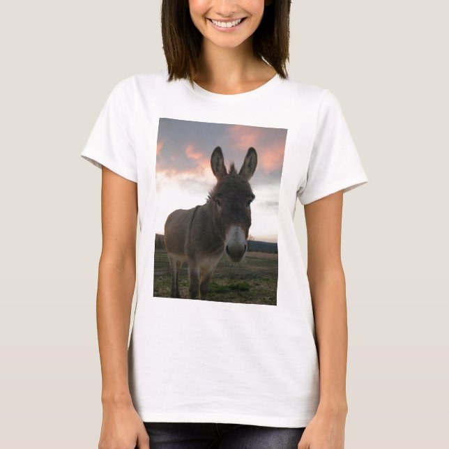 Camiseta Arte del burro (Anverso)