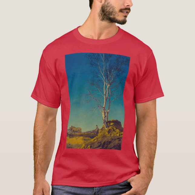 Camiseta arte maffield parrish art nouveau retro (Anverso)