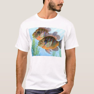 Camiseta Arte que gana de E. Jiang - grado 6