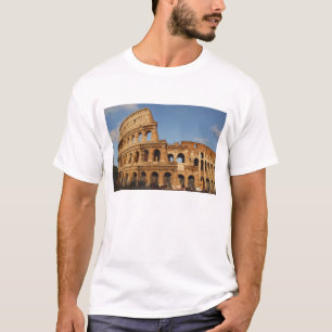 Camiseta Arte Romano. El Coliseo o Flavio 4