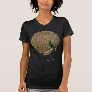 Camiseta Arte vintage Peafowl (pavo real) plumaje oro verde