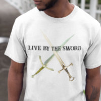 Artes Marciales Europeas Históricas HEMA Espada Vi