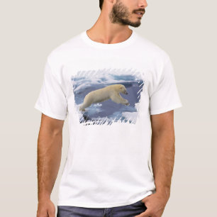 Camiseta Ártico, Svalbard, Oso polar extendiéndose