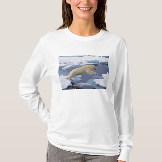 Camiseta Ártico, Svalbard, Oso polar extendiéndose (Anverso)