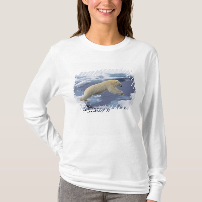 Camiseta Ártico, Svalbard, Oso Polar extensivo (Anverso)