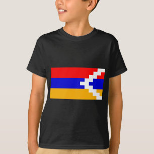 Camiseta artsa