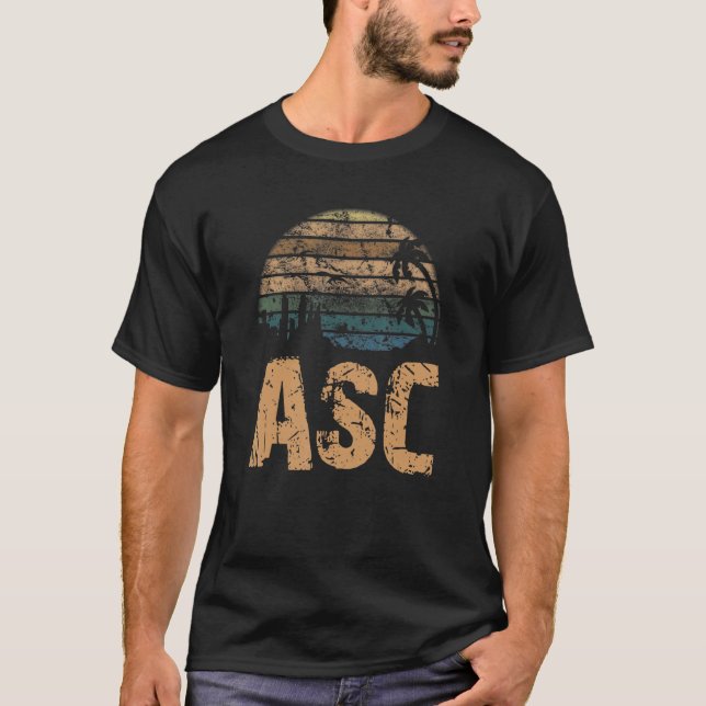 Camiseta ASC Vintage Sunset Distressed (Anverso)