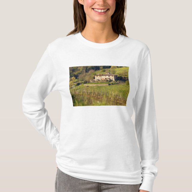 Camiseta Aschuito, una granja en funcionamiento que acepta  (Anverso)