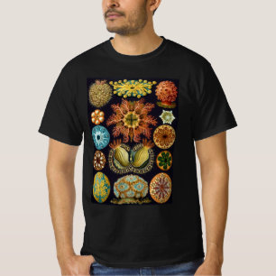 Camiseta Ascidiae por Ernst Haeckel, Animales Marinos Antig