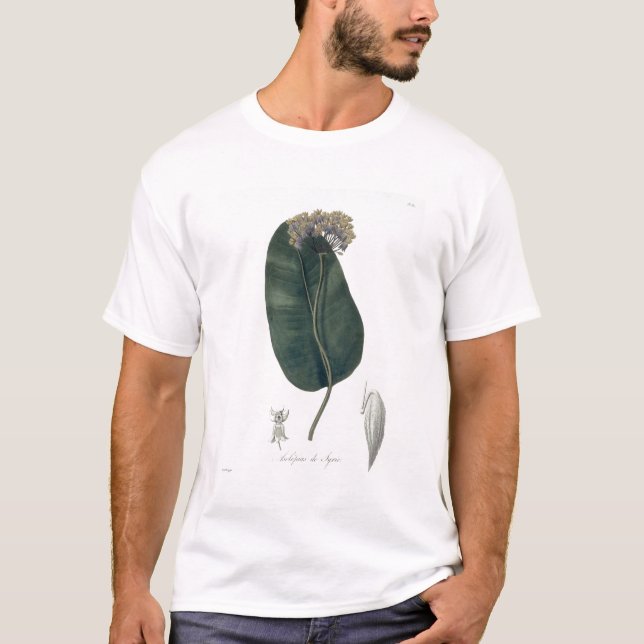 Camiseta Asclepias Syriaca de "Phytographie Medicale" cerca (Anverso)