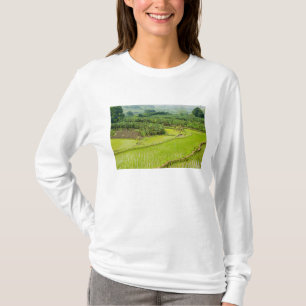 Camiseta Asia, China, provincia de Yunnan, Honghe. Plátano