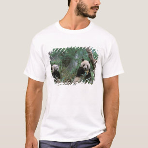 Camiseta Asia, China, Santuario de pandas gigantes de Cheng