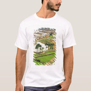 Camiseta Asia, China, Yunnan, Honghe. Terrazas de arroz cer
