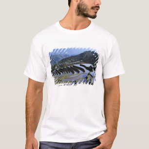 Camiseta Asia, China, Yunnan, Yuanyang. Escarpado