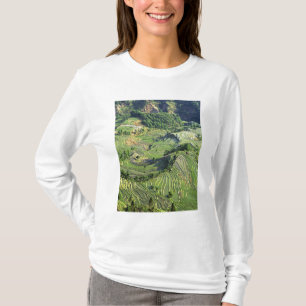 Camiseta Asia, China, Yunnan, Yuanyang. Patrón de verde