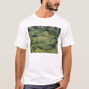 Camiseta Asia, China, Yunnan, Yuanyang. Patrón de verde 2