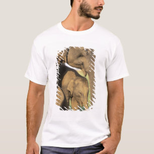 Camiseta Asia, India, Parque Nacional Nargahole. Indio