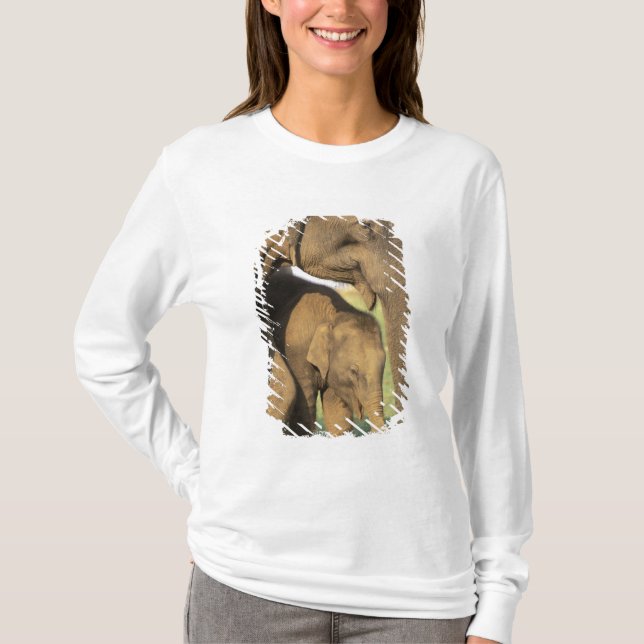 Camiseta Asia, India, Parque Nacional Nargahole. indio (Anverso)