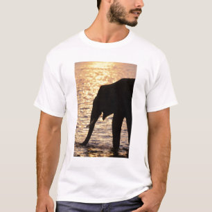 Camiseta Asia, India, Parque Nacional Nargahole. Indio