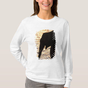 Camiseta Asia, India, Parque Nacional Nargahole. indio