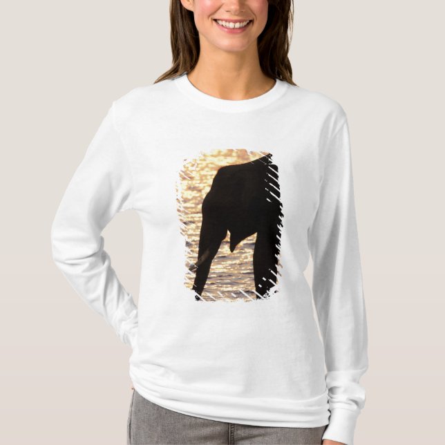 Camiseta Asia, India, Parque Nacional Nargahole. indio (Anverso)