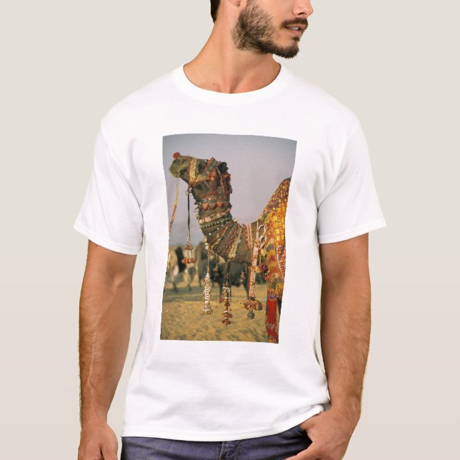 Camiseta Asia, India, Pushkar. Camello Shamu , Pushkar (Anverso)
