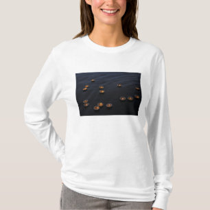 Camiseta Asia, India, región de Varanasi. Ofrendas en el