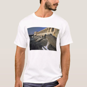 Camiseta Asia, Irán, Isfahán. Puente Pol-e Khaju.