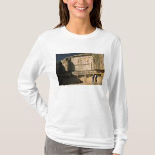 Camiseta Asia, Irán, Persépolis.Tumba de Darío el Grande.