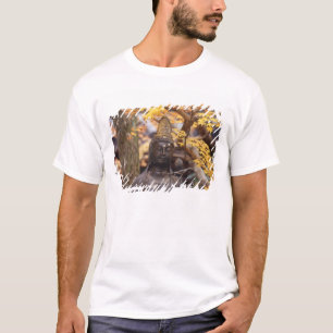 Camiseta Asia, Japón, Buda