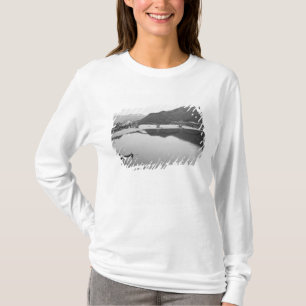 Camiseta Asia, Japón, Iwakuni. Pescadores y histórico