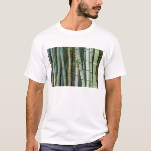 Camiseta Asia, Japón, Kyoto, Arashiyama, Sagano, Bambú