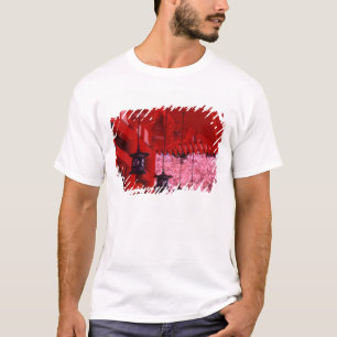 Camiseta Asia, Japón, Kyoto, santuario Heian en primavera.