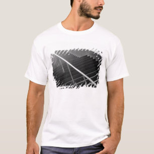 Camiseta Asia, Japón, Tokio. Escaleras, Tokyo Internationa