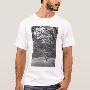 Camiseta Asia, Japón, Tokio, terrenos del santuario Meiji,