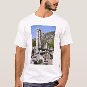 Camiseta Asia, Medio Oriente, Turquía, Efeso. Templo de