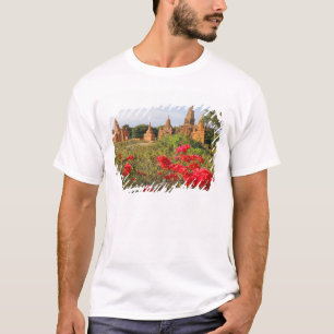 Camiseta Asia, Myanmar (Birmania), Bagan (Pagan). Un Bagan