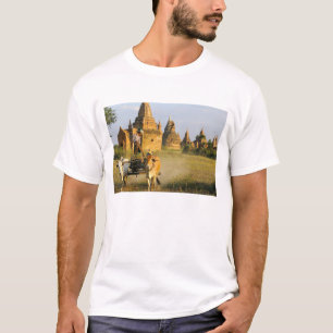 Camiseta Asia, Myanmar (Birmania), Bagan (Pagan). Un carro